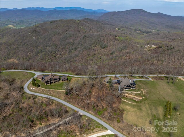 56 Snow Ridge Dr Unit 9, Hendersonville, NC 28792 - photo 10