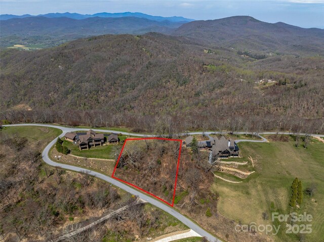 56 Snow Ridge Dr Unit 9, Hendersonville, NC 28792 - photo 11