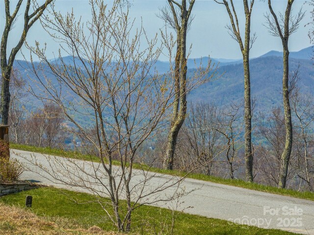 56 Snow Ridge Dr Unit 9, Hendersonville, NC 28792 - photo 13
