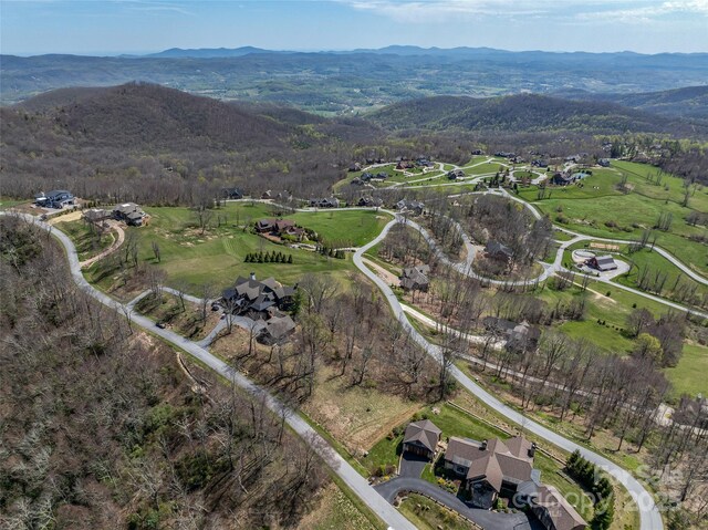 56 Snow Ridge Dr Unit 9, Hendersonville, NC 28792 - photo 14