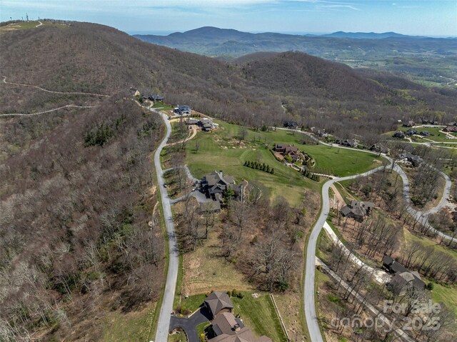 56 Snow Ridge Dr Unit 9, Hendersonville, NC 28792 - photo 15