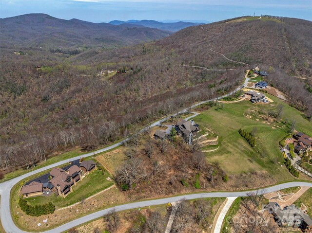 56 Snow Ridge Dr Unit 9, Hendersonville, NC 28792 - photo 16