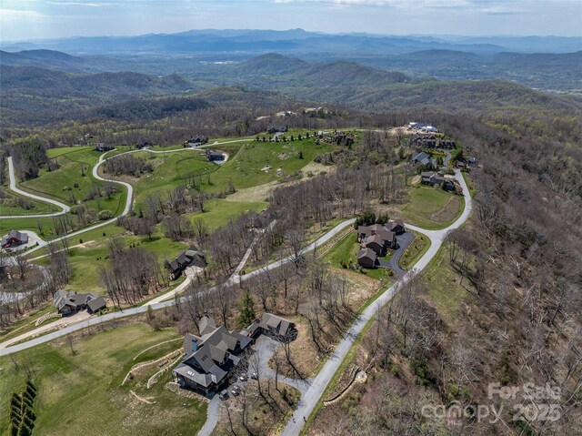 56 Snow Ridge Dr Unit 9, Hendersonville, NC 28792 - photo 18