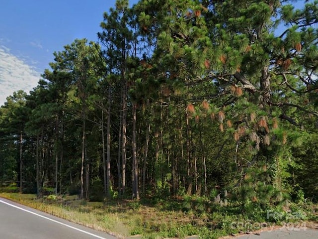 Listing photo 3 for TBD Flat Creek Rd, Kershaw SC 29067