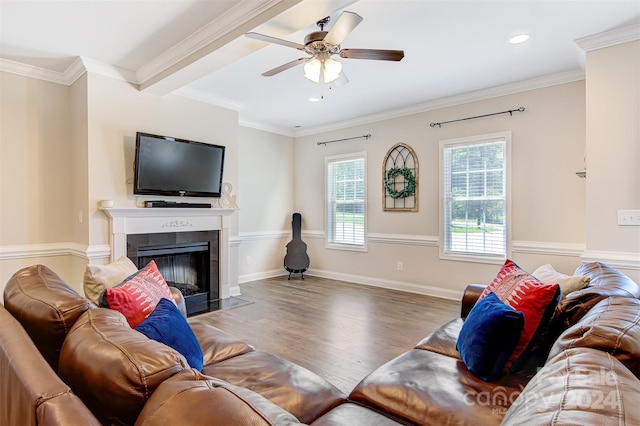 living room with hardwood / wood-style flooring, ceiling fan, and crown molding