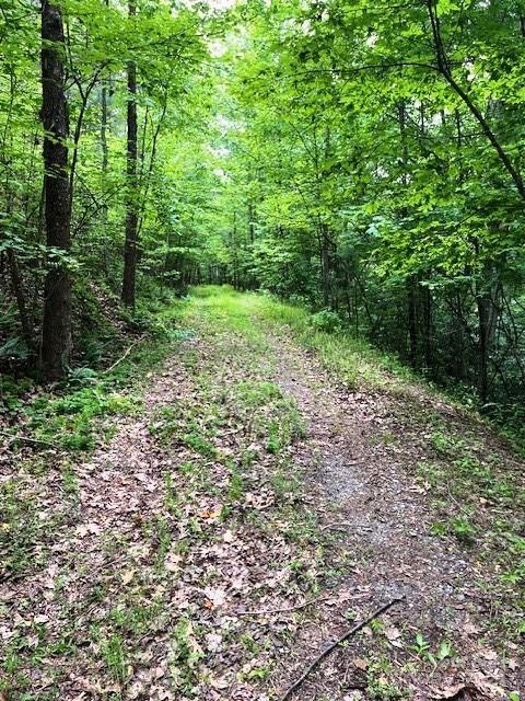 LOT46 Lake Adger Pkwy, Mill Spring NC, 28756 land for sale