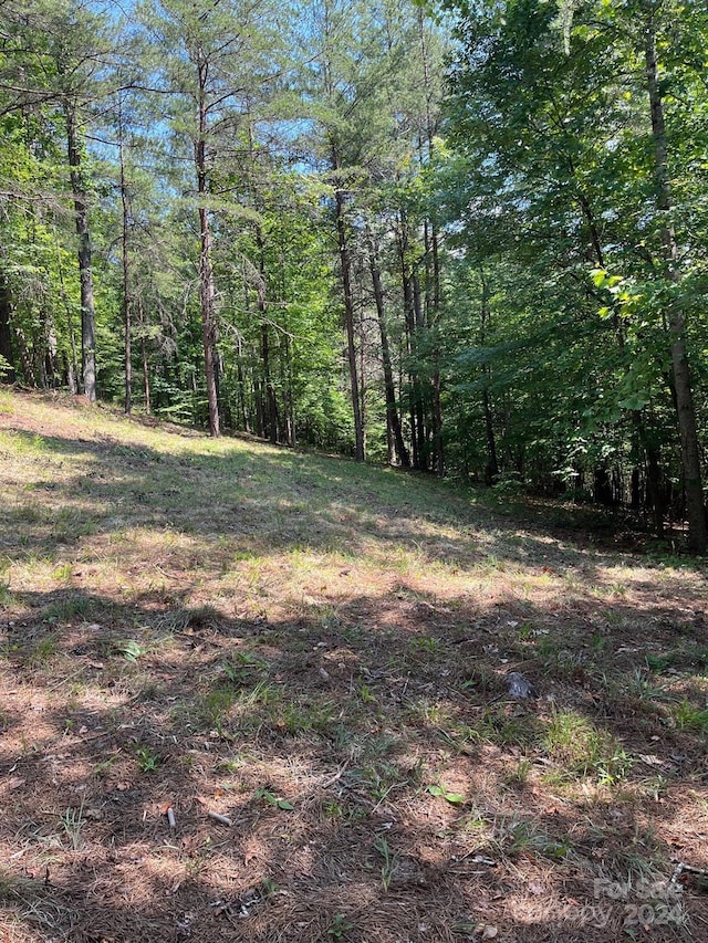 Listing photo 3 for LOT46 Lake Adger Pkwy, Mill Spring NC 28756