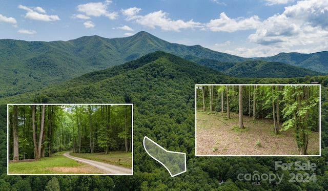 95 Treetops Dr, Candler NC, 28715 land for sale