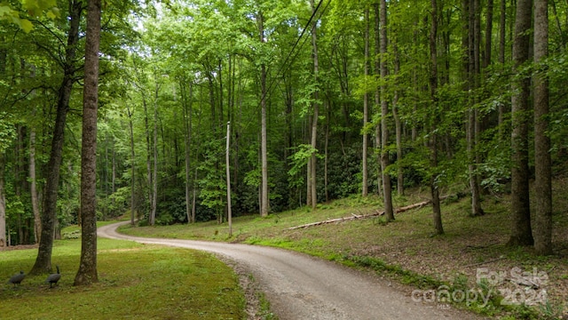 Listing photo 3 for 95 Treetops Dr, Candler NC 28715