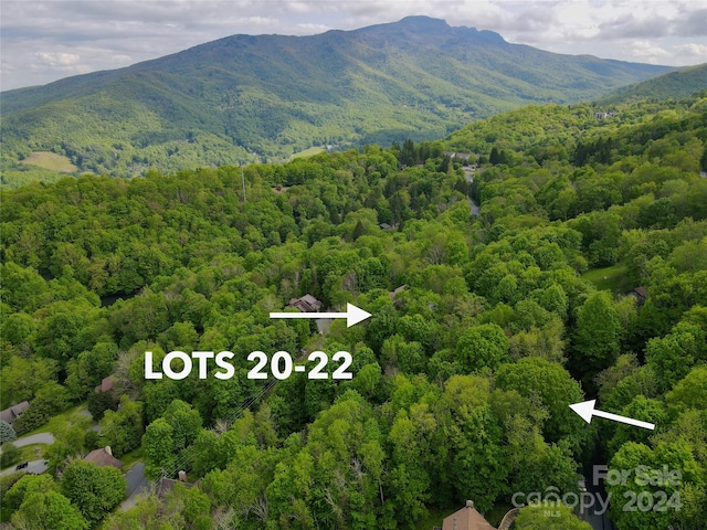 TBD Alpine Dr Unit 20-22, Seven Devils NC, 28604 land for sale