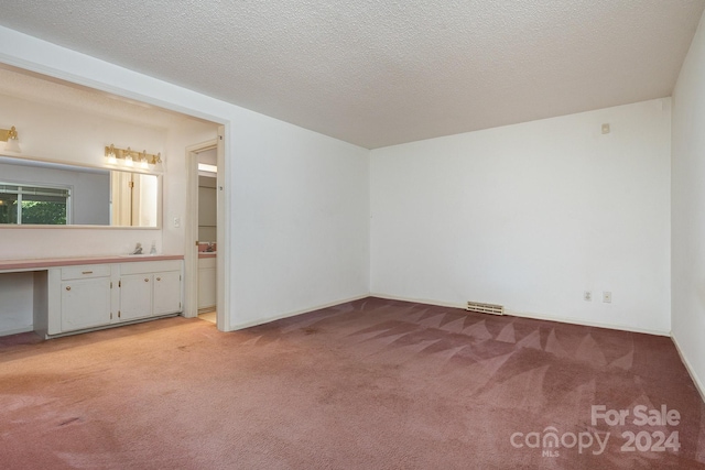 interior space with sink and a textured ceiling