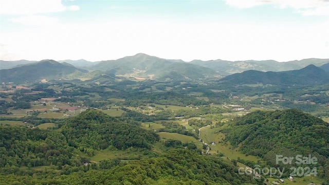 LOT31 Signature Row Blvd, Waynesville NC, 28785 land for sale