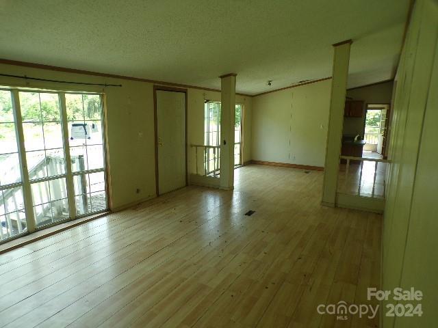 spare room featuring plenty of natural light, light wood-type flooring, a textured ceiling, and vaulted ceiling