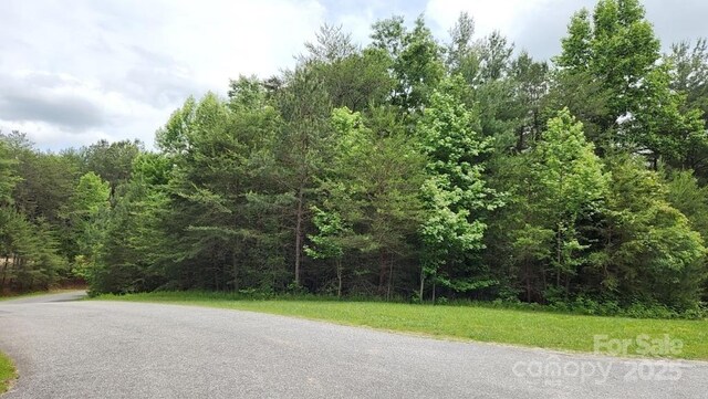 5339 Knollview Dr, Morganton, NC 28655 - photo 10