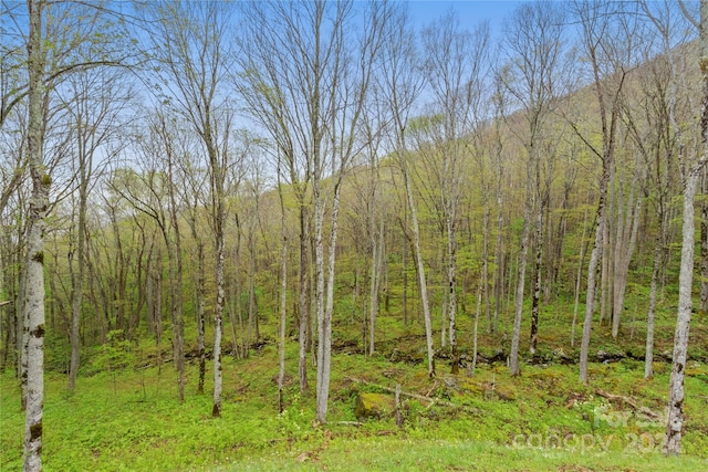 view of mother earth's splendor