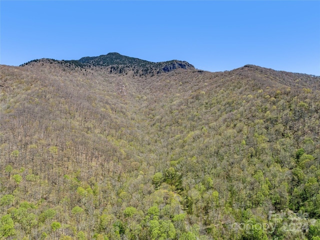 view of mountain view