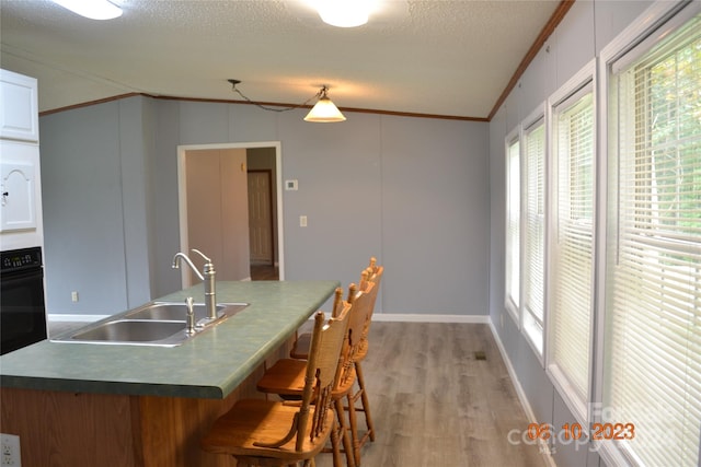 kitchen with crown molding, a textured ceiling, sink, hardwood / wood-style flooring, and black oven