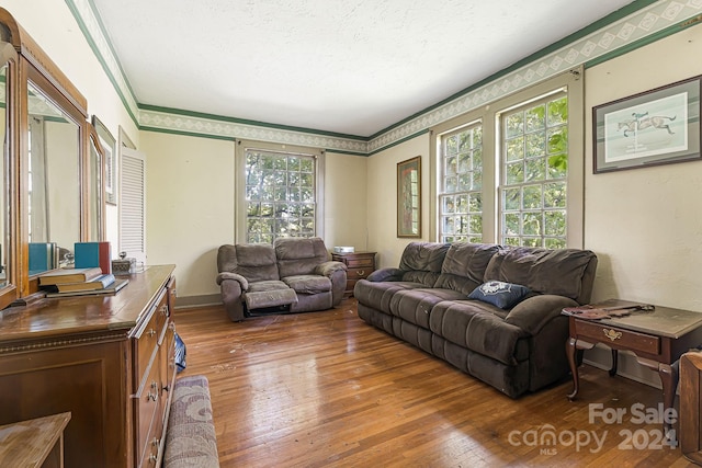 living room featuring a textured ceiling and dark hardwood / wood-style floors