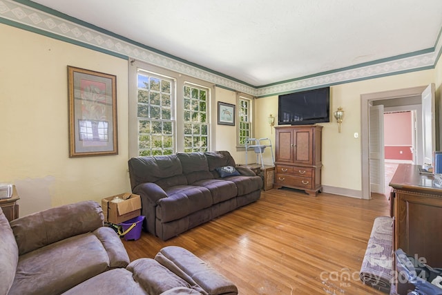 living room with light hardwood / wood-style flooring