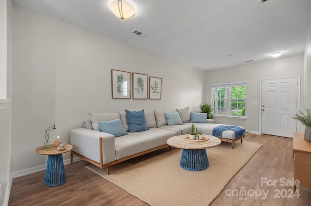 living room featuring hardwood / wood-style floors