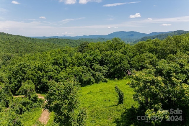 3223 Mt Hebron Rd, Old Fort NC, 28762 land for sale