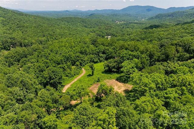 3223 Mt Hebron Rd, Old Fort, NC 28762 - photo 1