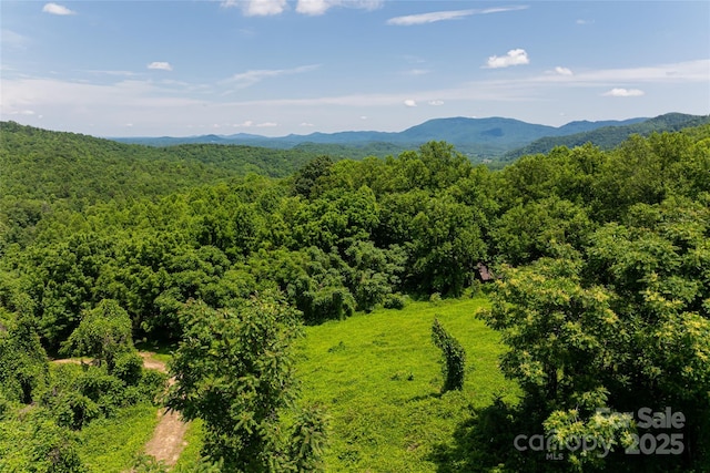 3223 Mt Hebron Rd, Old Fort, NC 28762 - photo 2