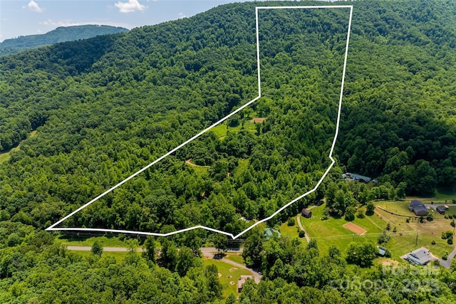 3223 Mt Hebron Rd, Old Fort, NC 28762 - photo 3