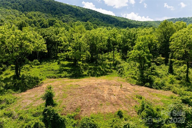 3223 Mt Hebron Rd, Old Fort, NC 28762 - photo 4