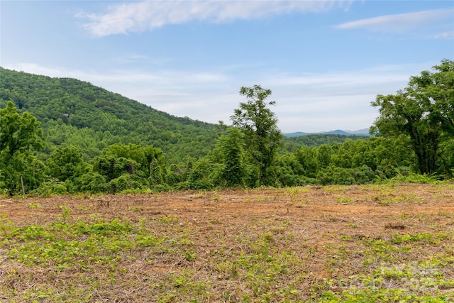 3223 Mt Hebron Rd, Old Fort, NC 28762 - photo 5