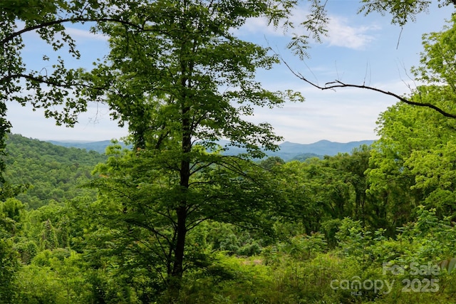 3223 Mt Hebron Rd, Old Fort, NC 28762 - photo 6