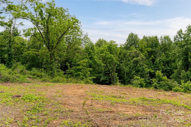 3223 Mt Hebron Rd, Old Fort, NC 28762 - photo 10