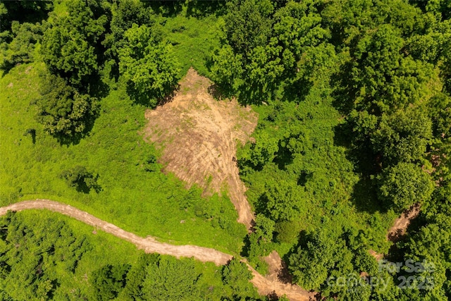 3223 Mt Hebron Rd, Old Fort, NC 28762 - photo 12