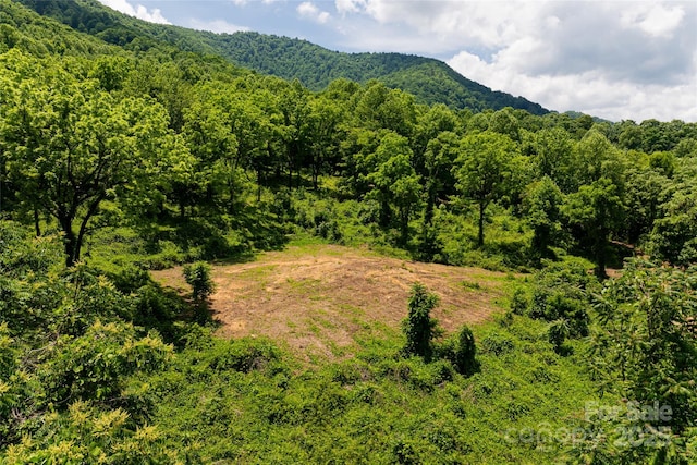 3223 Mt Hebron Rd, Old Fort, NC 28762 - photo 13