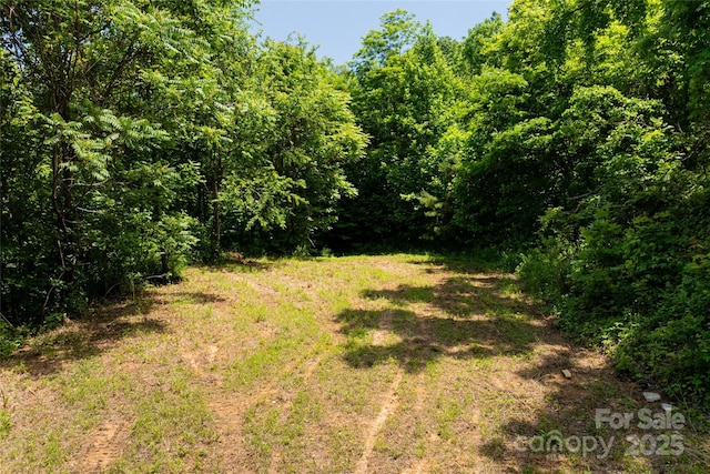 3223 Mt Hebron Rd, Old Fort, NC 28762 - photo 14