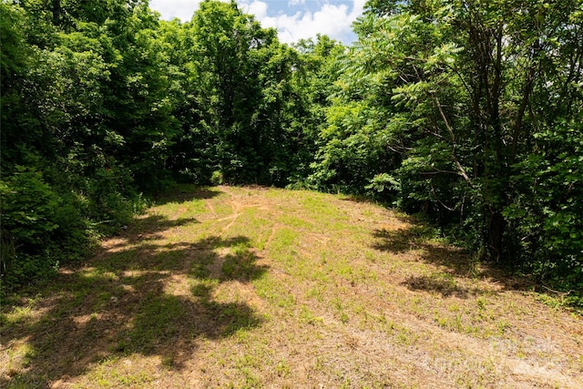 3223 Mt Hebron Rd, Old Fort, NC 28762 - photo 15