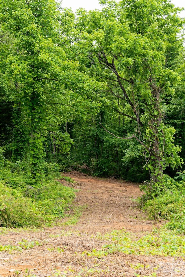 3223 Mt Hebron Rd, Old Fort, NC 28762 - photo 16