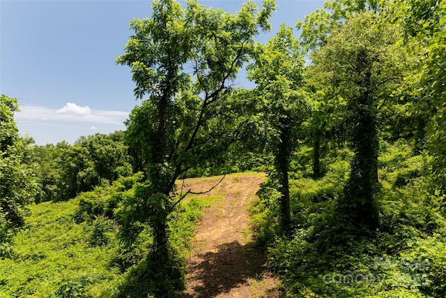 3223 Mt Hebron Rd, Old Fort, NC 28762 - photo 19