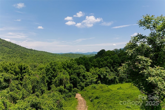 3223 Mt Hebron Rd, Old Fort, NC 28762 - photo 21