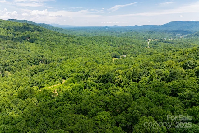 3223 Mt Hebron Rd, Old Fort, NC 28762 - photo 29