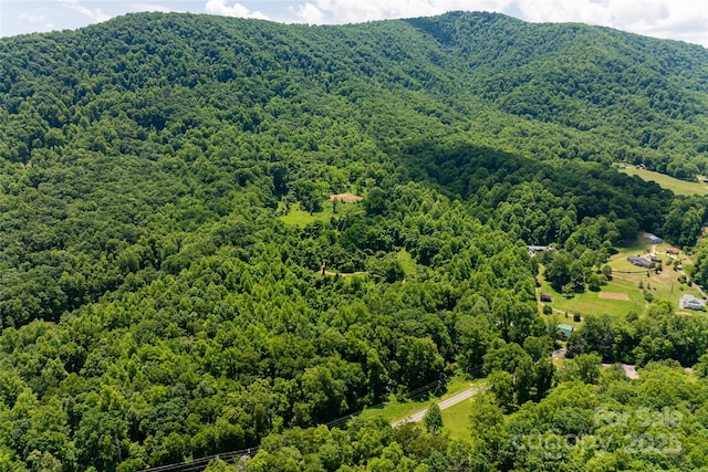 3223 Mt Hebron Rd, Old Fort, NC 28762 - photo 33