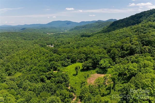 3223 Mt Hebron Rd, Old Fort, NC 28762 - photo 37