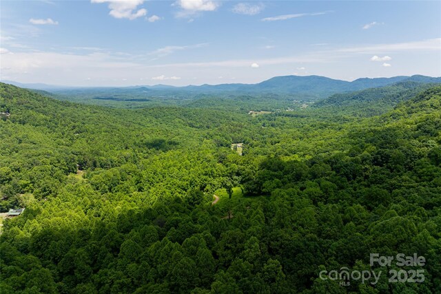 3223 Mt Hebron Rd, Old Fort, NC 28762 - photo 38