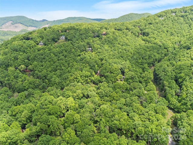 view of mountain view