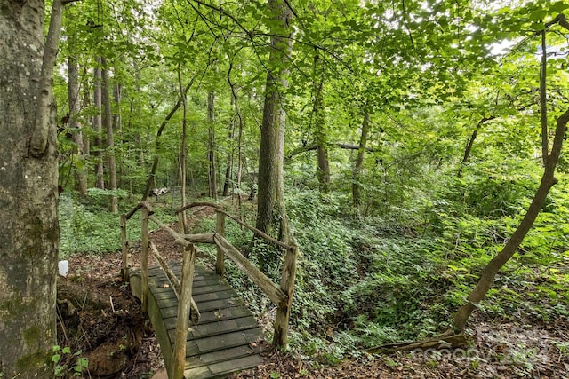 view of local wilderness