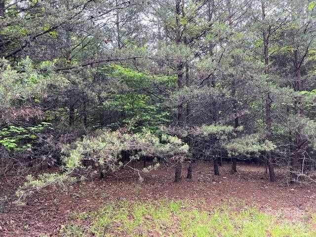 Listing photo 2 for LOT23 Highland Pkwy Unit 23, Nebo NC 28761