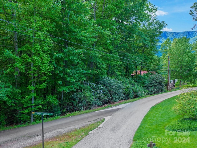 Listing photo 3 for 000 Laurel Acres Rd, Burnsville NC 28714