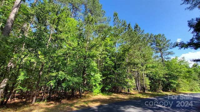 00 Loblolly Ln Unit 23, Mill Spring NC, 28756 land for sale