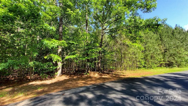 Listing photo 2 for 000 Loblolly Ln Unit 22, Mill Spring NC 28756