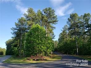 Listing photo 3 for 000 Loblolly Ln Unit 22, Mill Spring NC 28756